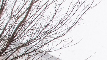 La nevada de esta semana también afectará la región de Nueva Inglaterra.