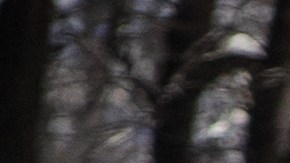 Tormenta nieve Boston