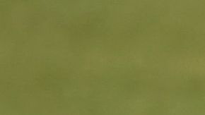 Navegantes del Magallanes