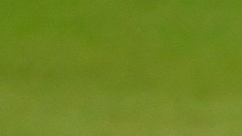 Republica Dominicana