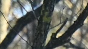 La zona de Chernóbil cuenta con muchas instalaciones de alto riesgo.