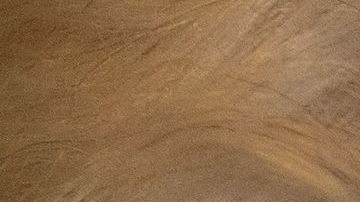 La reina Isabel dio positivo a Covid-19.