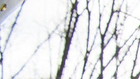 Organizaciones civiles presionan para que haya una reforma migratoria.