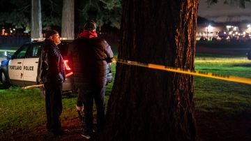 Mass Shooting During Demonstration at Normandale Park in Portland, OR