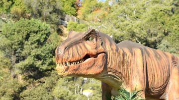 Los científicos sospechan que un dinosaurio sufrió tos, fiebre y dificultad para respirar.