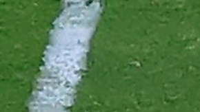 NFL, Pro Bowl, Tom Brady