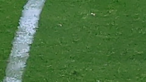 NFL, Pro Bowl, Tom Brady
