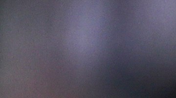 Javier Chicharito Hernández