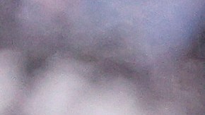 Josef Martínez demostró que se encuentra sano y recuperado de las lesiones que lo atacaron en 2020 y 2021.