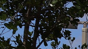 FLORIDA Sheriff’s crime scene tape is seen outside of a Publix supermarket