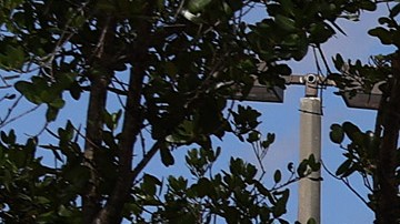 FLORIDA Sheriff’s crime scene tape is seen outside of a Publix supermarket