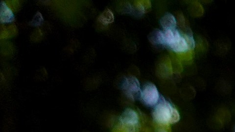 Chicago Military Academy