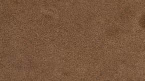 Wanda Nara, Mauro Icardi