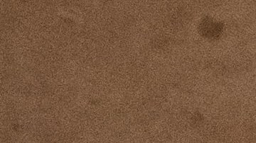 Wanda Nara, Mauro Icardi