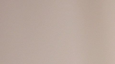 Whoopi Goldberg suspendida de ABC por sus comentarios sobre el Holocausto