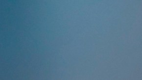 Brian Flores, Pittsburgh Steelers