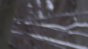 Tensión Rusia-Ucrania