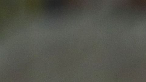 Alexis Sánchez, Inter de Milan, Copa Italia