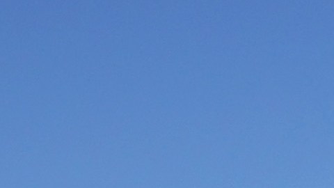 Con las altas temperaturas en Los Angeles, lo más requerido son las botellas de agua y las latas de cerveza.