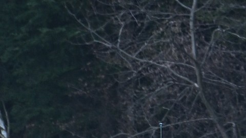 EE.UU. y sus aliados han movilizados militares en Polonia y otros territorios como "ofensiva".