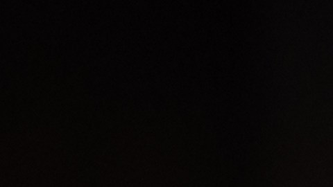 Michael Estrada celebra su primer gol vía penal ante Charlote Football Club.