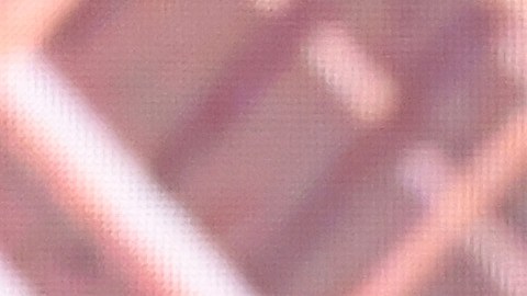 Eugenio Derbez, Marlee Matlin, Daniel Durant, Troy Kotsur y Emilia Jones.