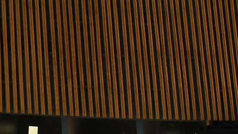 La Asamblea General de las Naciones Unidas discute una resolución contra Rusia.