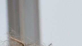 Charlize Theron junto a Tom Hardy y el elenco de la cinta "Mad Max"