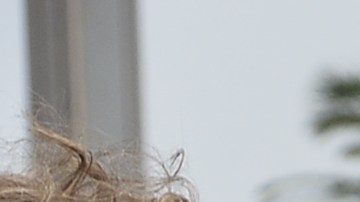 Charlize Theron junto a Tom Hardy y el elenco de la cinta "Mad Max"