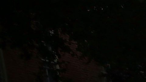 NYPD