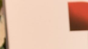 Adamari López tiene una hija de cuatro años de edad