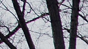 Universidad de Harvard