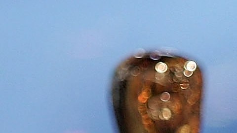Oscar 2022: conoce todos los nominados a la edición 94 de los Premios de la Academia