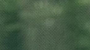 Policía de Ciudad de México