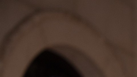 El presidente Trump busca recaudar recursos para su Super PAC.
