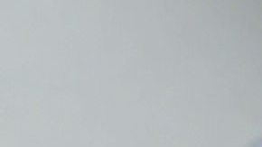 Sin tratamiento, las infecciones con la variante VB probablemente progresarían a SIDA.