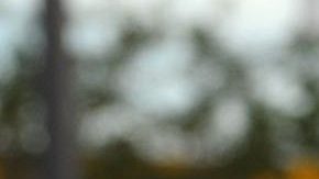 Amanda Miguel