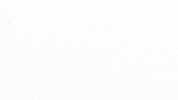 Carcel Milan Michigan