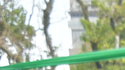 Fanáticos de Palmeiras fue asesinado en Brasil