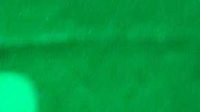 Julio César Chávez