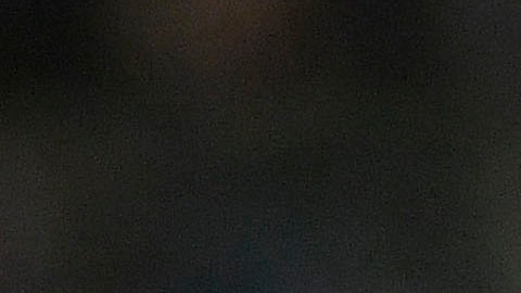 Javier Chicharito Hernández