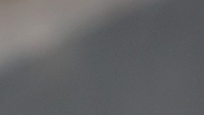 Everton v Tottenham Hotspur - Premier League