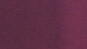 Pekerman pidió paciencia a los fanáticos de Venezuela