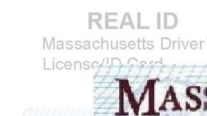 La licencia para indocumentados en Massachusetts no sería un Real ID.