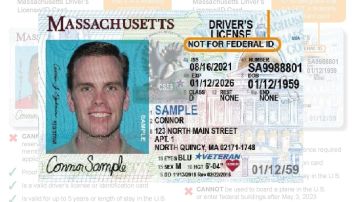 La licencia para indocumentados en Massachusetts no sería un Real ID.