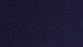 MLB anunció el retraso del Spring Training