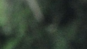 Marcel Hernández fua absuelto de los cargos