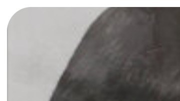 Cold case Marise Ann Chiverella