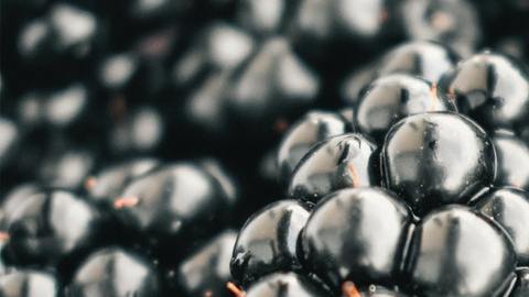 Moras