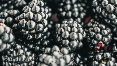 Moras